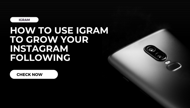 How to Use iGram to Grow Your Instagram Following